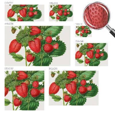 Papel mural con patrón decorativo Frutas de verano