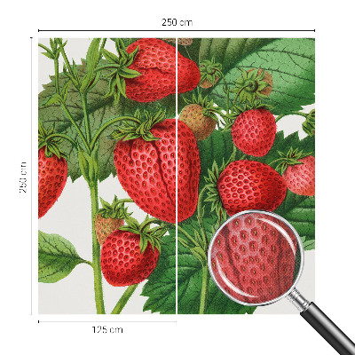 Papel mural con patrón decorativo con motivo de frutas de verano
