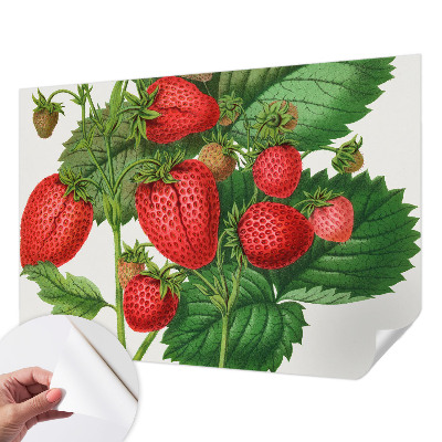 Papel mural con patrón decorativo con motivo de frutas de verano