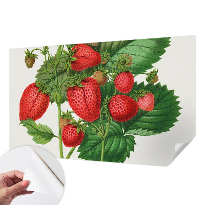 Papel mural con patrón decorativo con motivo de frutas de verano