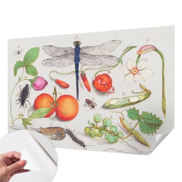 Papel mural con patrón decorativo con ilustración de motivos naturales