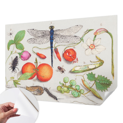 Papel mural con patrón decorativo con ilustración de motivos naturales