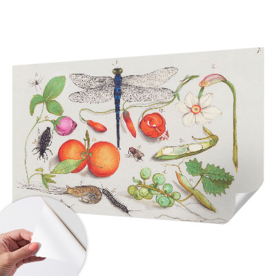 Papel mural con patrón decorativo con ilustración de motivos naturales