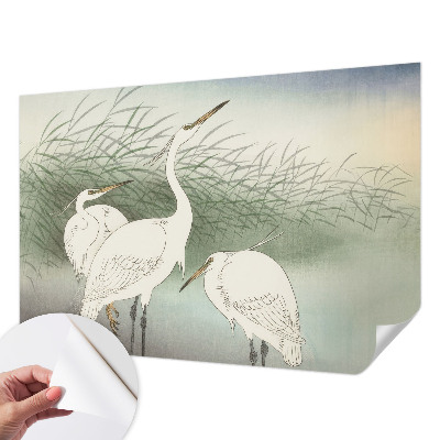 Fotomural decorativo para cabecero de cama con diseño de garzas entre la hierba