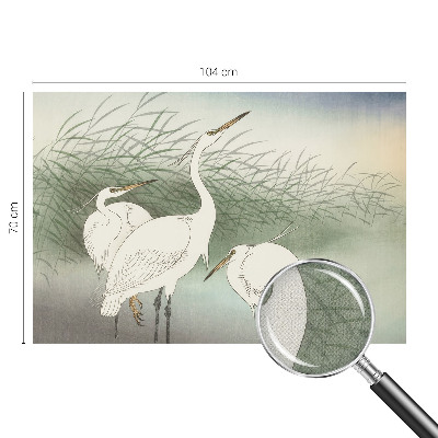 Fotomural decorativo para cabecero de cama con diseño de garzas entre la hierba
