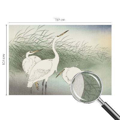 Fotomural decorativo para cabecero de cama con diseño de garzas entre la hierba