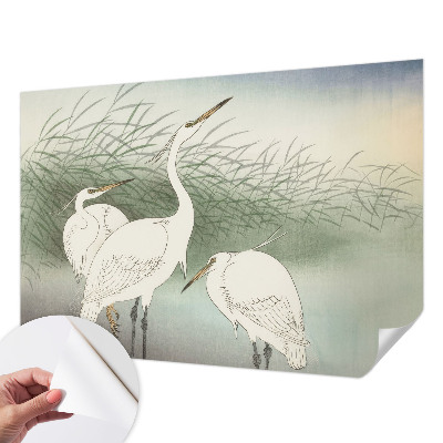 Fotomural decorativo para cabecero de cama con diseño de garzas entre la hierba