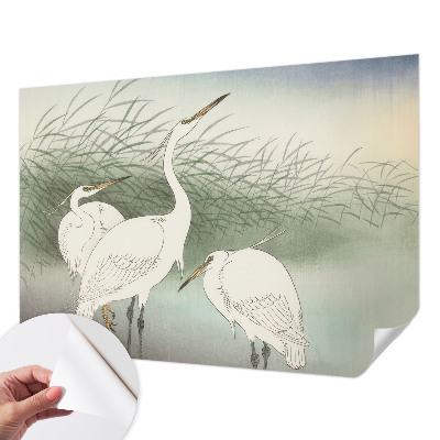 Fotomural decorativo para cabecero de cama con diseño de garzas entre la hierba