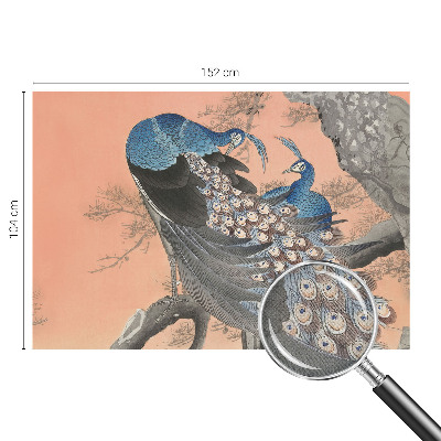 Papel mural texturado decorativo Elegancia de pavo real