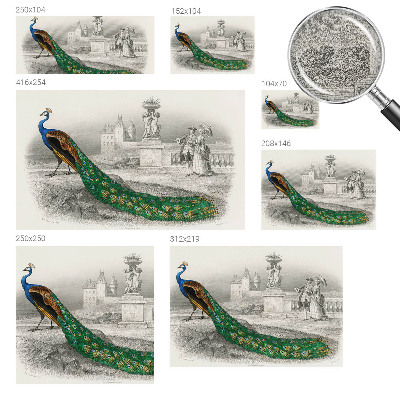 Fotomural decorativo para cabecero de cama Plumas coloridas