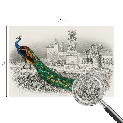 Fotomural decorativo para cabecero de cama Plumas coloridas