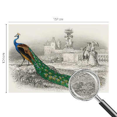 Fotomural decorativo para cabecero de cama Plumas coloridas