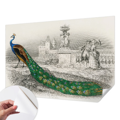 Fotomural decorativo para cabecero de cama Plumas coloridas