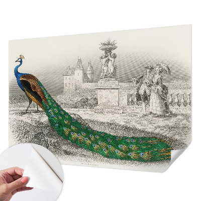 Fotomural decorativo para cabecero de cama Plumas coloridas