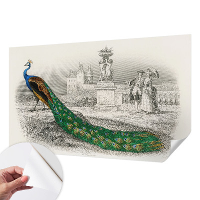 Fotomural decorativo para cabecero de cama Plumas coloridas