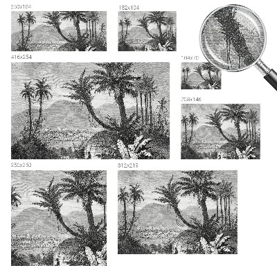 Papel mural texturado decorativo con motivo de oasis tropical