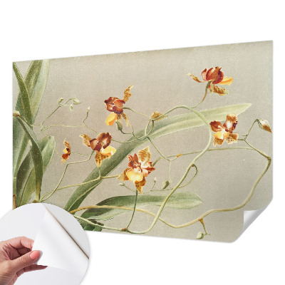 Fotomural decorativo para cabecero de cama con diseño de orquídeas clásicas