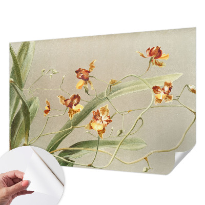 Fotomural decorativo para cabecero de cama con diseño de orquídeas clásicas