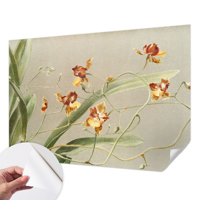 Fotomural decorativo para cabecero de cama con diseño de orquídeas clásicas