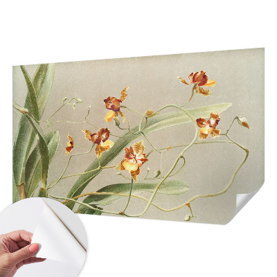 Fotomural decorativo para cabecero de cama con diseño de orquídeas clásicas