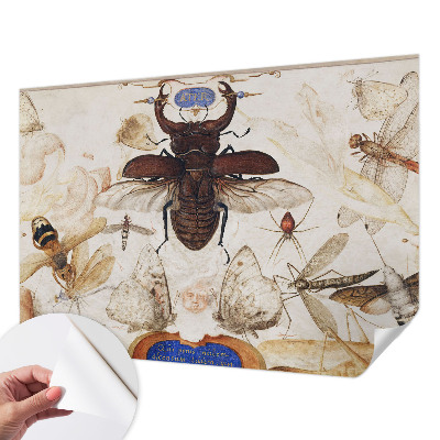 Papel mural texturado decorativo Armonía natural