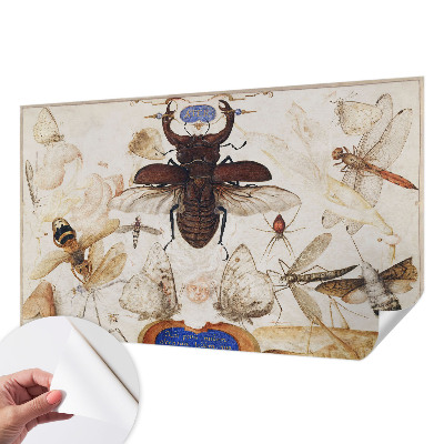 Papel mural texturado decorativo Armonía natural