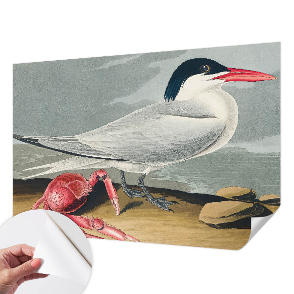 Mural de pared con estampado hermoso Paisaje marino