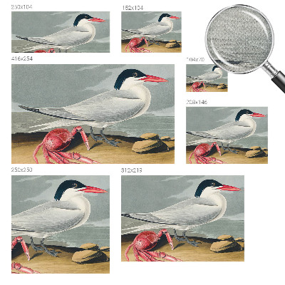 Mural de pared con estampado hermoso Paisaje marino