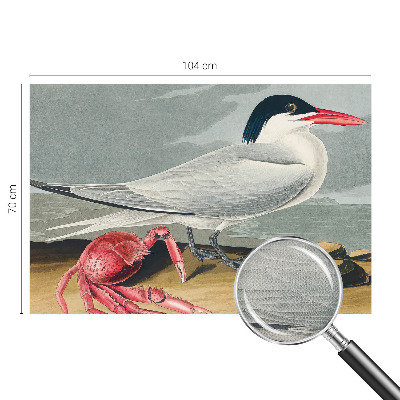 Mural de pared con estampado hermoso Paisaje marino