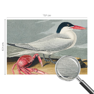 Mural de pared con estampado hermoso Paisaje marino