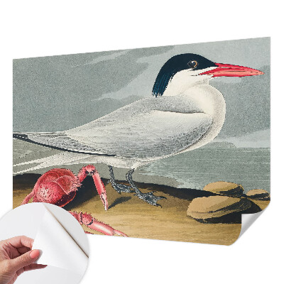 Mural de pared con estampado hermoso Paisaje marino