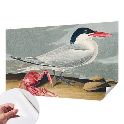 Mural de pared con estampado hermoso Paisaje marino