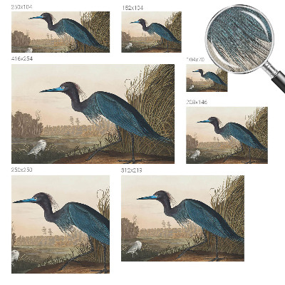 Mural de pared con estampado hermoso Aves acuáticas