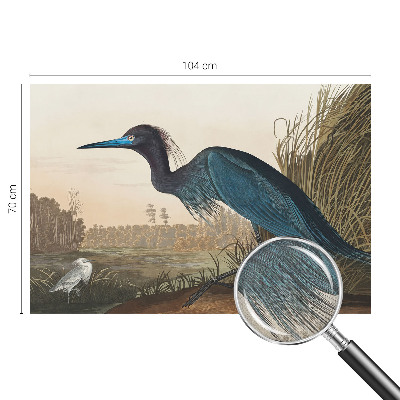 Mural de pared con estampado hermoso Aves acuáticas