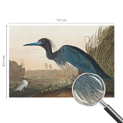 Mural de pared con estampado hermoso Aves acuáticas