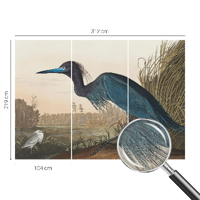 Mural de pared con estampado hermoso Aves acuáticas