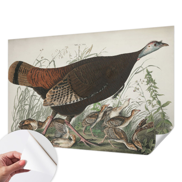 Papel mural con patrón decorativo Armonía natural