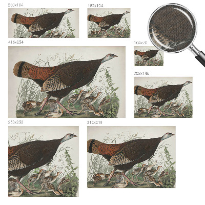 Papel mural con patrón decorativo Armonía natural