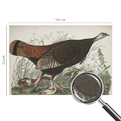 Papel mural con patrón decorativo Armonía natural