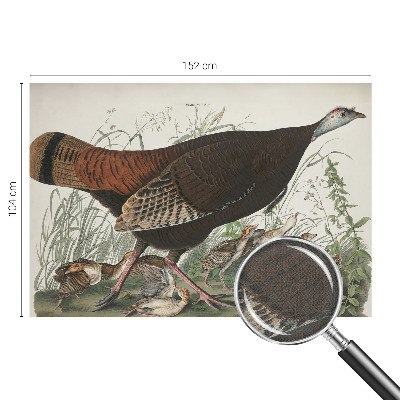 Papel mural con patrón decorativo Armonía natural