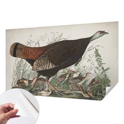 Papel mural con patrón decorativo Armonía natural