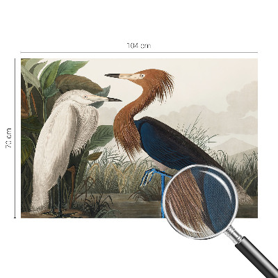 Fotomural decorativo para cabecero de cama Pájaros en las plantas