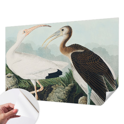 Papel mural texturado decorativo con motivo de pareja de pájaros