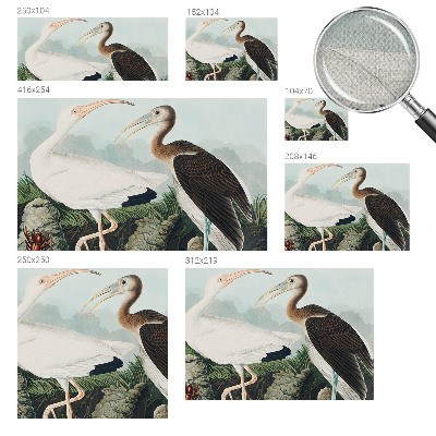 Papel mural texturado decorativo pareja de pájaros