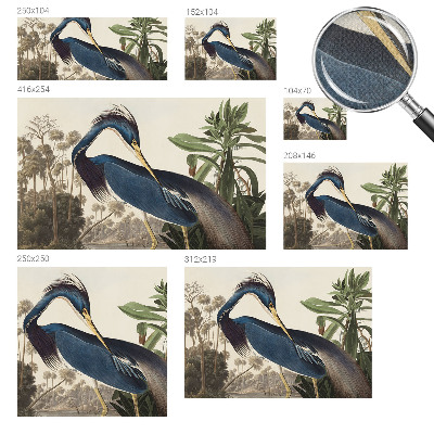 Papel mural texturado decorativo Naturaleza exótica