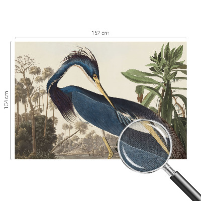 Papel mural texturado decorativo Naturaleza exótica