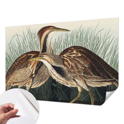 Papel mural con patrón decorativo con pájaros representados de forma realista