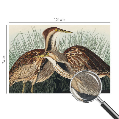 Papel mural con patrón decorativo Pájaros realistas