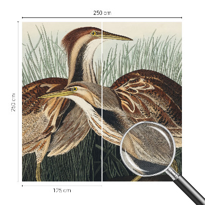 Papel mural con patrón decorativo Pájaros realistas