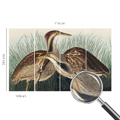 Papel mural con patrón decorativo Pájaros realistas